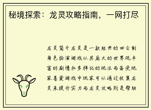 秘境探索：龙灵攻略指南，一网打尽